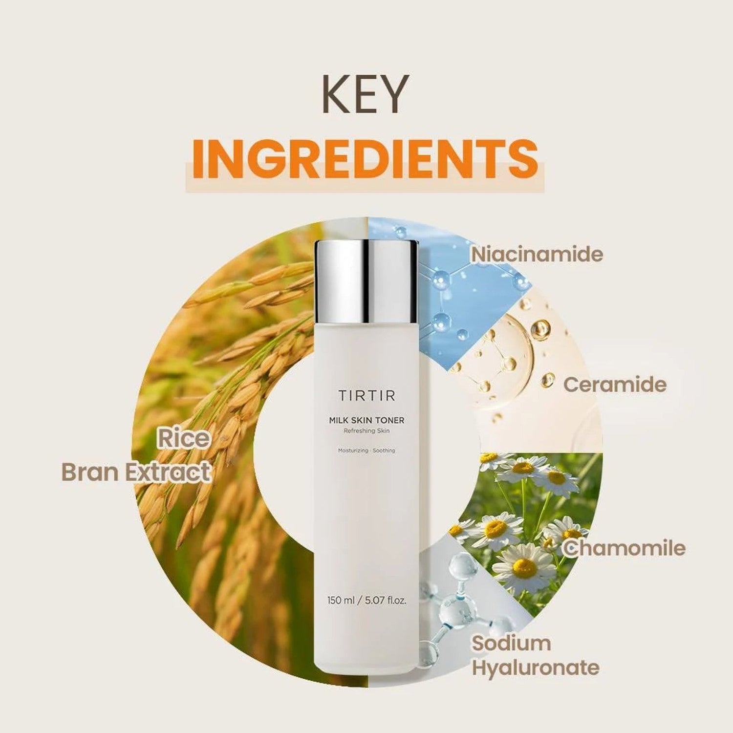 TirTir Milk Skin Toner by AsiaBeautyMall