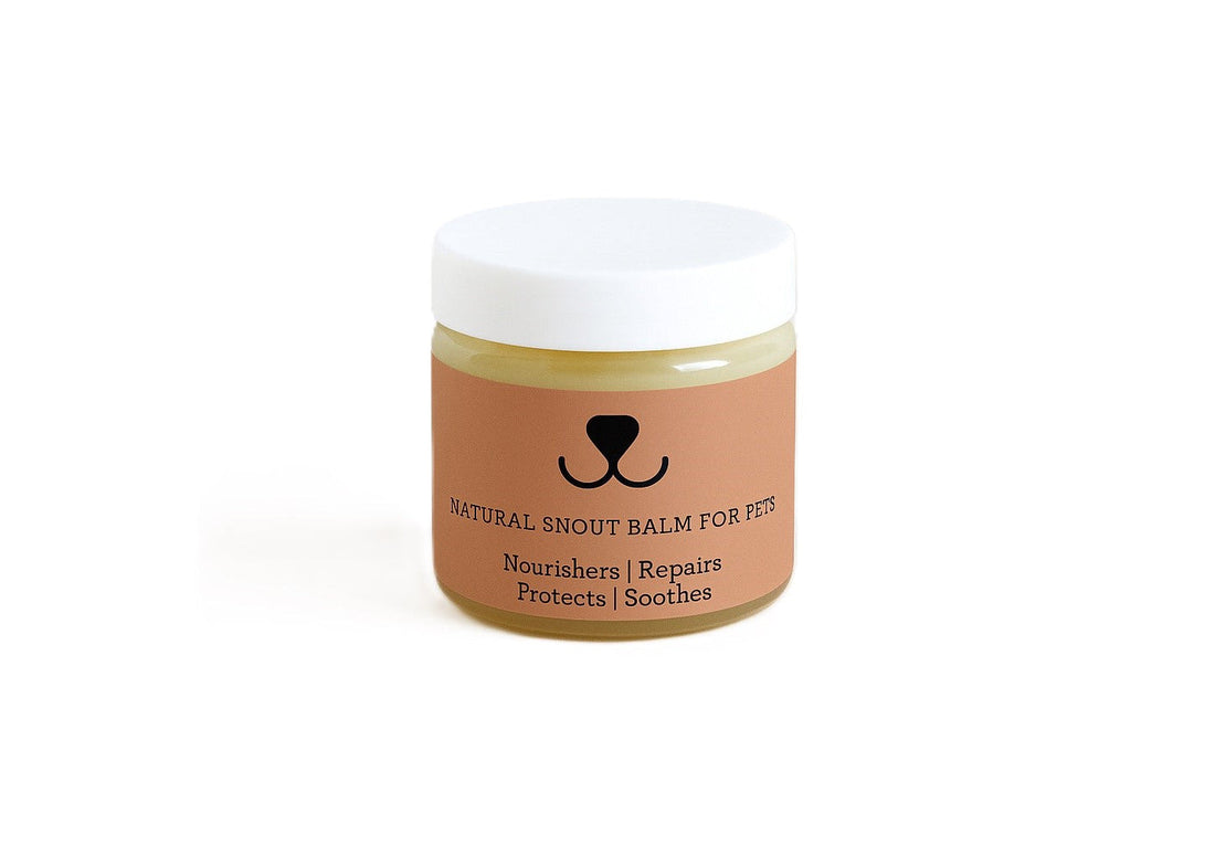 Natural Snout Balm for PETS by Lizush