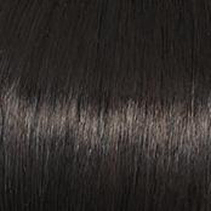 Raquel Welch Trend Setter Wig