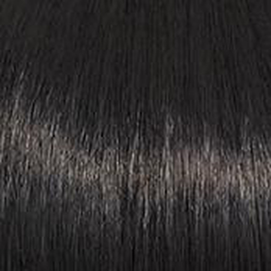 Raquel Welch Trend Setter Wig