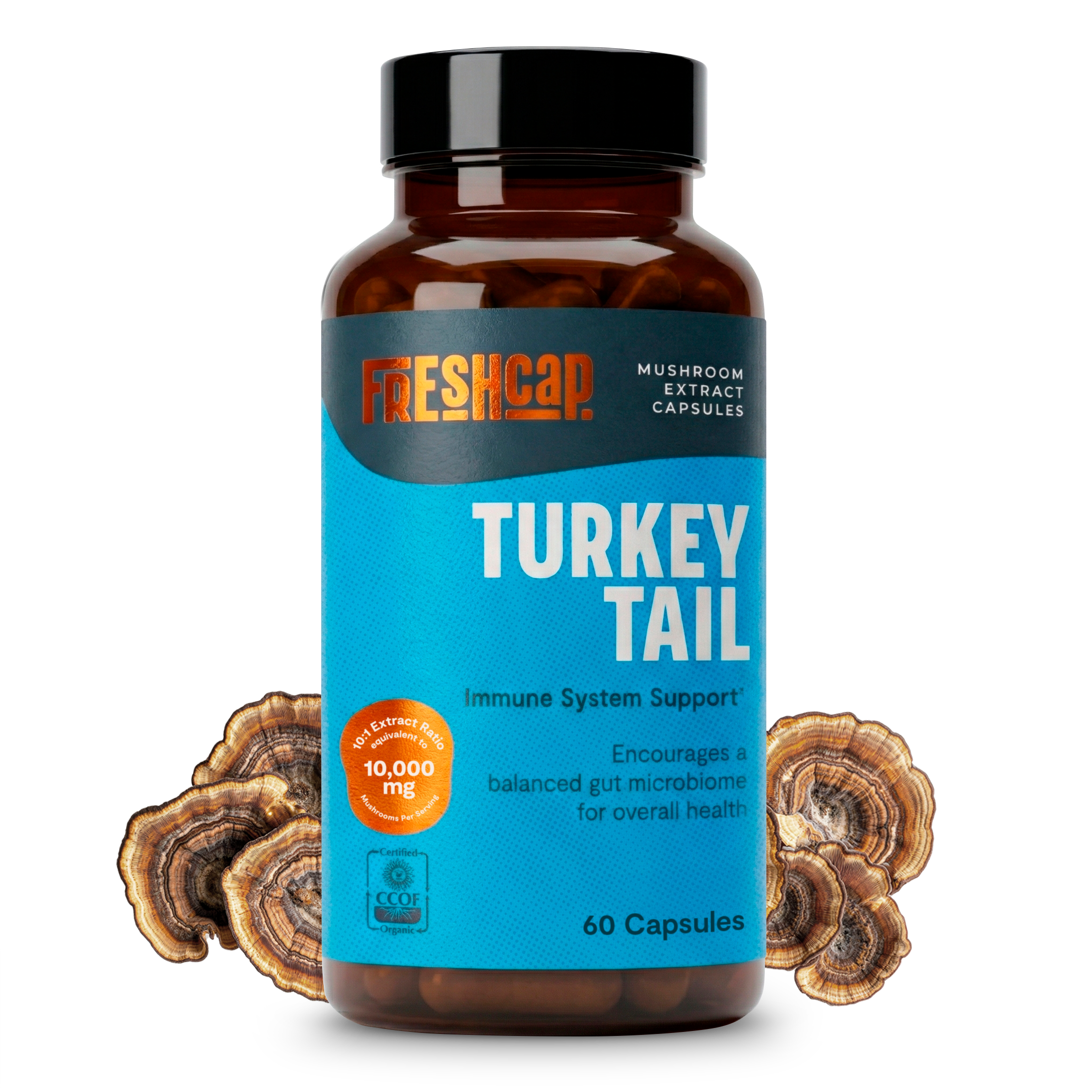 Organic Turkey Tail Mushroom Capsules by FreshCap Mushrooms