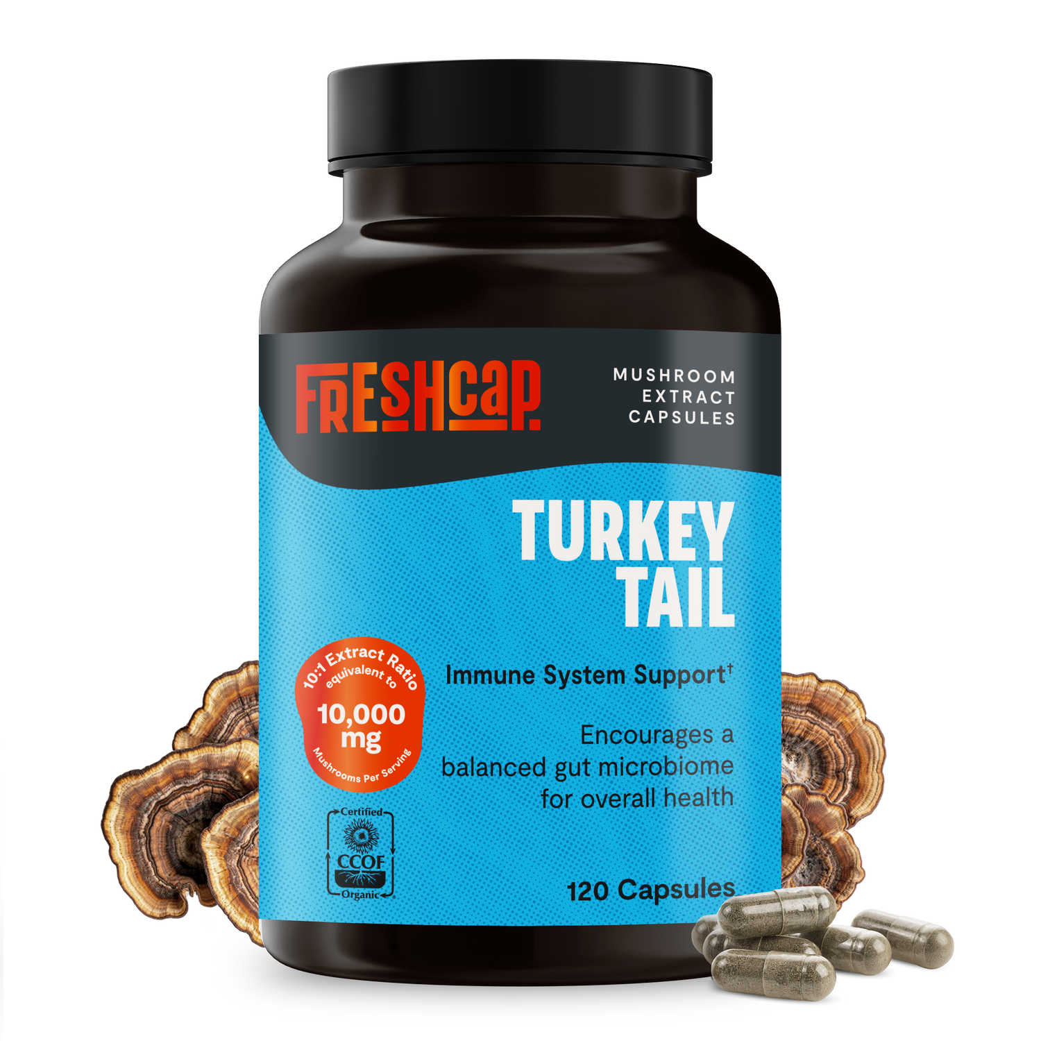 Organic Turkey Tail Mushroom Capsules by FreshCap Mushrooms