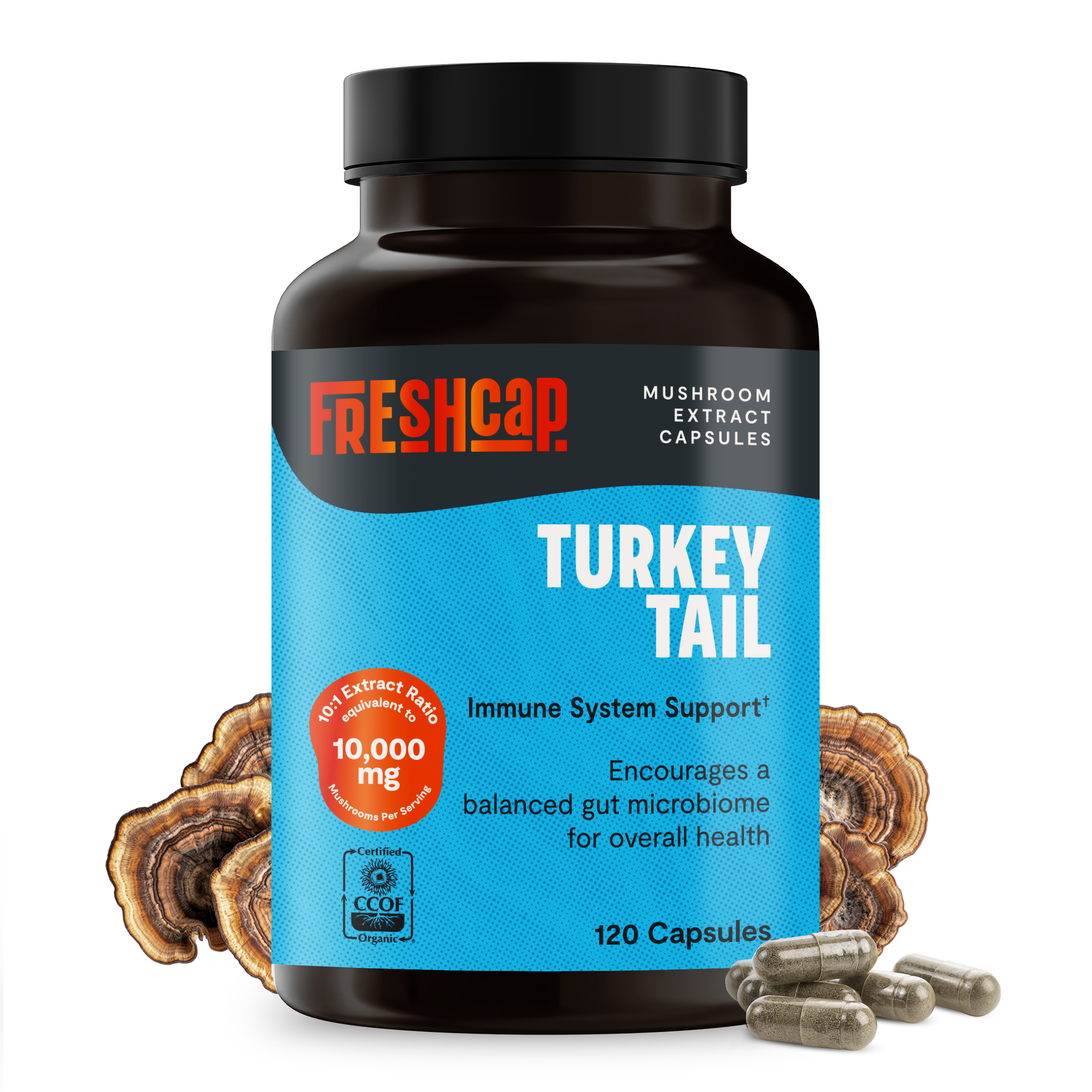 Organic Turkey Tail Mushroom Capsules by FreshCap Mushrooms