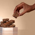 15G Protein Graham Cracker Fudge Bar by Biocare